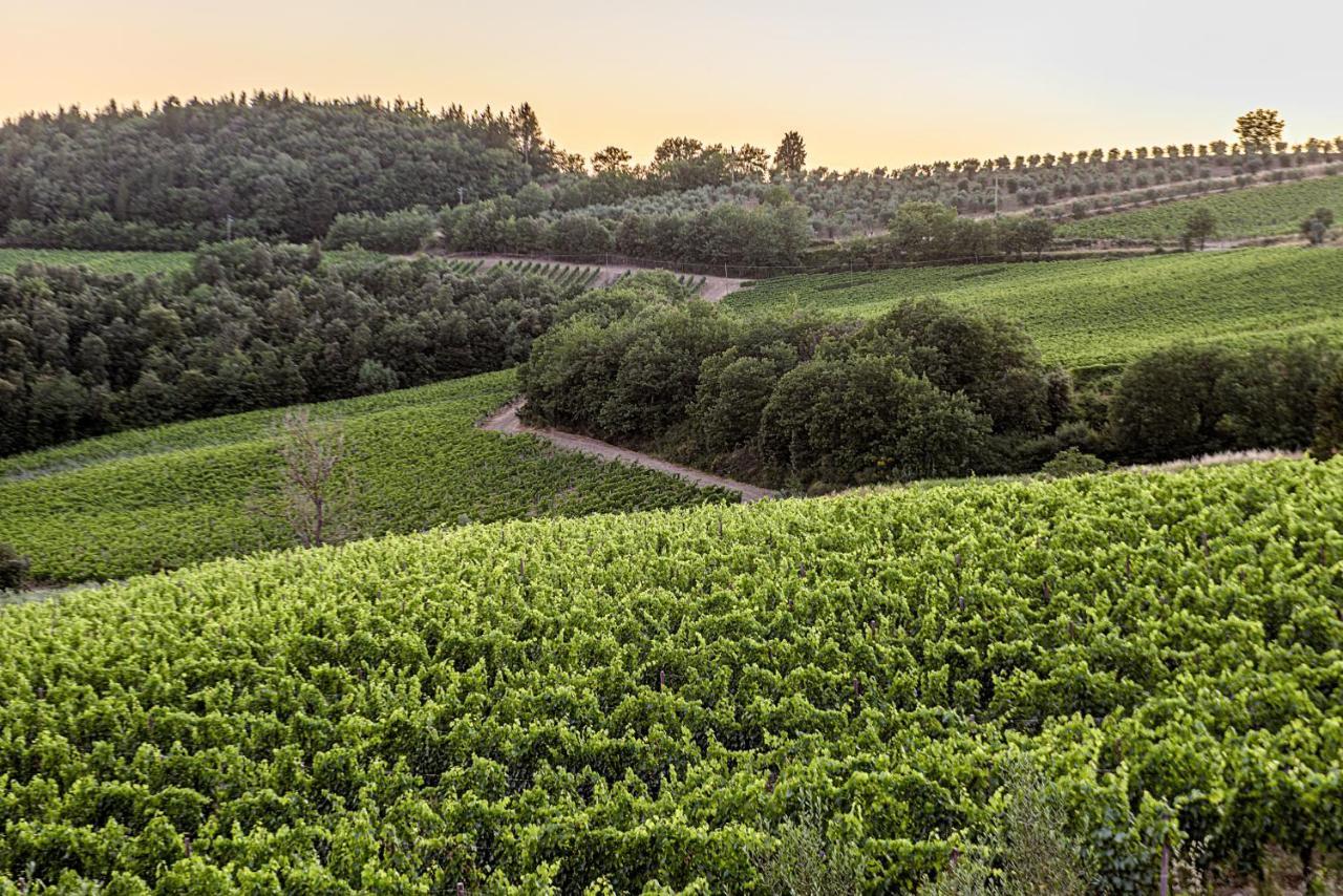 Agriturismo Concadoro Βίλα Castellina in Chianti Εξωτερικό φωτογραφία