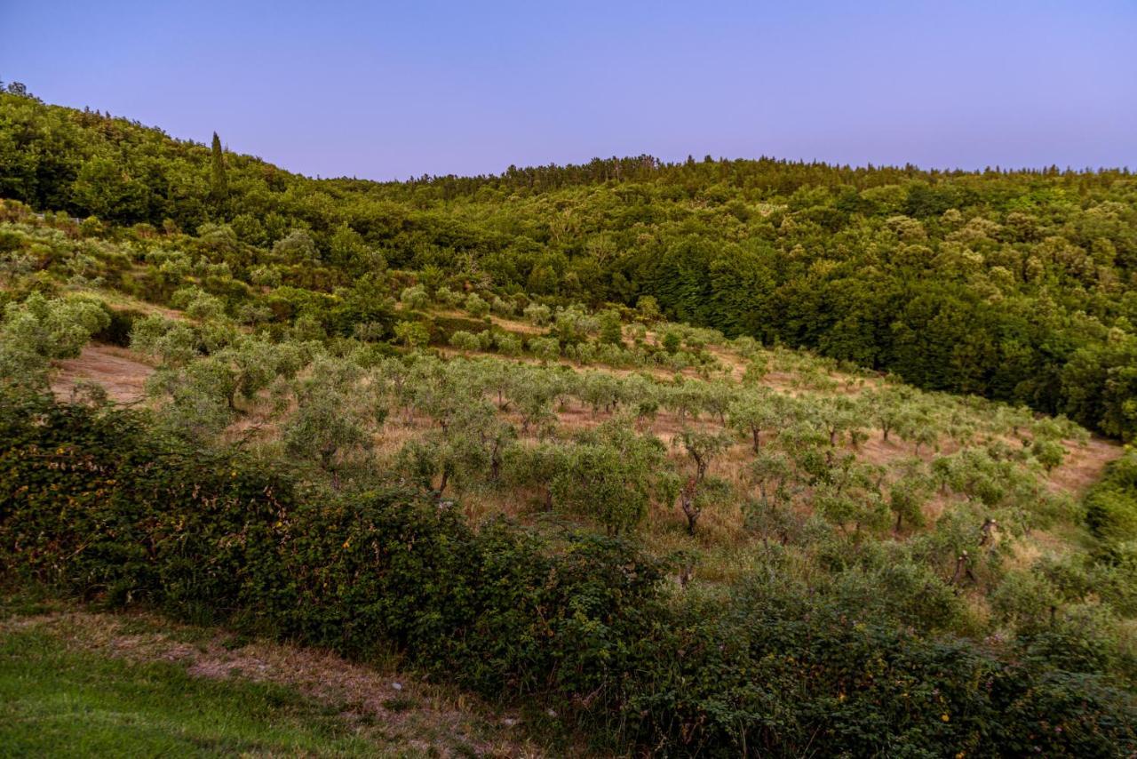 Agriturismo Concadoro Βίλα Castellina in Chianti Εξωτερικό φωτογραφία