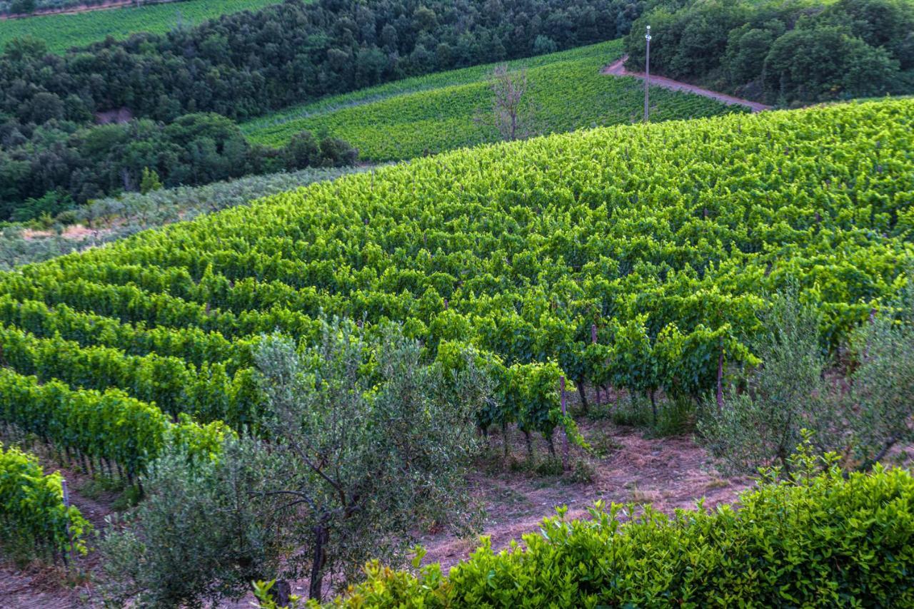 Agriturismo Concadoro Βίλα Castellina in Chianti Εξωτερικό φωτογραφία